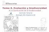Tema 4. Evolución y biodiversidad - …dpbiologia.weebly.com/uploads/2/1/5/5/21553524/gtp_t4.evolución_y... · taxonómica de una especie vegetal y animal Construcción clave dicotómica