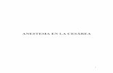 ANESTESIA EN LA CESÁREA - Ficheros del Portal de …files.sld.cu/anestesiologia/files/2012/05/anest_cesarea05.pdf · La paciente obstétrica ... en que por tiempo o por inestabilidad