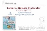 Tema 1. Biología Molecular - dpbiologia.weebly.comdpbiologia.weebly.com/uploads/2/1/5/5/21553524/gtp_t1._biología... · hidrólisis de la celulosa por la enzima celulasa. Su enlace