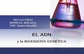 EL ADN - I.E.S. Las Viñas ADN y la ingenieria... · GENOMA: Conjunto de genes de un ser vivo. ... ADN de un organismo en múltiples trozos y aislar alguno de los fragmentos obtenidos,