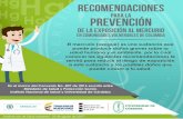 DISEÑO DE ROTAFOLIO - minsalud.gov.co · HgHg Hg Hg HgHg recomendaciones para la prevención de la exposición al mercurio en comunidades vulnerables de colombia El mercurio (azogue)