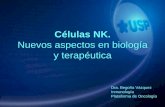 Células NK. Nuevos aspectos en biología y terapéutica NK.pdf · 2.Desarrollo •Proceden de un progenitor común linfoide de la médula ósea, del que diverge de las otras líneas