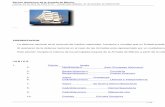 Barcos Históricos de la Armada de México2006-2012.semar.gob.mx/armada-mexico/363-barcos-historicos-de-la... · La importancia que el nuevo orden exigía, particularmente en el Golfo