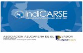 ASOCIACION AZUCARERA DE EL SALVADOR 2012 …indicarse.org/generados/2012_ASOCIACION_AZUCARERA_DE_EL_SAL… · ASOCIACION AZUCARERA DE EL SALVADOR ... ahí que el desempeño de una