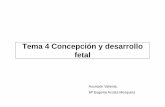 Tema 4 Concepción y desarrollo fetal - rodas5.us.es · Desarrollo embrionario y fetal •Etapa preembrionaria 1 al 14 días •Etapa embrionaria 3ª a 8ª semanas S. Nervioso, Ap.