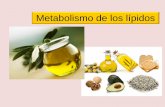 Metabolismo de los lípidos - Inicio · METABOLISMO DE GRASAS LIPIDOS CORPORALES LIPIDOS DE DEPOSITO LIPIDOS CONSTITUTIVOS • Tejido adiposo principalmente 90% grasas neutras. •