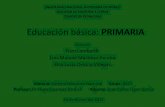 Educación básica: PRIMARIA - Sistema Educativo … · Artículo 3º Constitución de 1857 y 1917 y sus reformas. Acuerdo núm. 96. Relativo a la organización y funcionamiento de