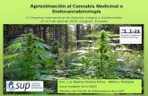Aproximación al Cannabis Medicinal o … cannabis... · De USA, Laboratorio Stanley: Charlotte’s Web: 5,3% CBD y 0,2% THC De Suiza, ... Genera informes científicos e indicadores