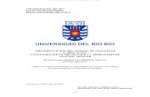 IMPLEMENTACION DEL SISTEMA DE ANALISIS DE …repobib.ubiobio.cl/jspui/bitstream/123456789/548/1/Carrion_Llaña... · - 1 - universidad del bio–bio facultad de ingenieria depto.