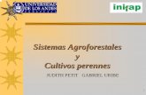 Sistemas Agroforestales y Cultivos perenneswebdelprofesor.ula.ve/forestal/jcpetita/materias/agroforesteria... · perennes o anuales Árboles en hileras ... Poda total(100% de radiación)