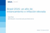 Brasil 2015: un año de estancamiento e inflación elevada · Argentina) impactará la economía brasileña. Además, el país sigue teniendo un problema de falta de competitividad