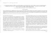 CATALOGO DE LA FLORA VASCULAR DE LAS … · ecología, n.o 11, 1997, pp. 207-234 catalogo de la flora vascular de las calizas cretacicas de soto del real-san agustin de guadalix (madrid)