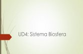 UD4: Sistema Biosfera - amayabio.files.wordpress.com · de la biocenosis y con el biotopo. Introducción ... Es un flujo abierto y unidireccional. El flujo de la energía es abierto