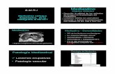 Mediastino S.M.R.I Objetivo didáctico - smri.org.mxsmri.org.mx/memorias/rad2012/platicas/34.pdf · 17/01/2012 1 Mediastino enfoque diagnóstico, de la radiografía al PET/CT S.M.R.I