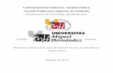 UNIVERSIDAD MIGUEL HERNANDEZ Escuela …dspace.umh.es/bitstream/11000/2072/1/TD Attieh, Latifa.pdf · 3.8.2 Las señales intrínsecas y extrínsecas..... 59 . ix CAPITULO IV: METODOLOGIA