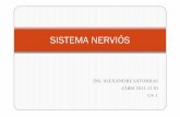 SISTEMA NERVIÓS - blocs.xtec.catblocs.xtec.cat/caibalexandresatorras/files/2012/03/Sistema_nervios.pdf · Epinefrina i norepinefrina: augmenten ritme cardíac en cas d’estrès.
