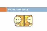Neurotrasmisores · glutamato, la epinefrina y la norepinefrina Neurotransmisores inhibidores favorecen la hiperpolarización e interrumpen la conducción nerviosa. GABA, glicina,