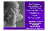 PROGRAMA UNIVERSAL DE DETECCION E … · programa universal de deteccion e intervencion temprana de la hipoacusia …… promoviendo la comunicaciÓn desde el nacimiento fga. carina