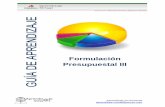 Formulación Presupuestal III - Aprendizaje Virtu@laprendizajevirtual.pemex.com/nuevo/guias_pdf/Guia_Normas_Formulac... · Ejercicio/Compromisos y Presupuesto en Flujo de efectivo