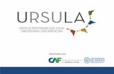Presentación de PowerPoint - unionursula.orgunionursula.org/wp-content/uploads/2018/04/presentacion-investigac... · En consideración de los impactos de la universidad hacia su