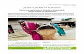 ¿QUIÉN ALIMENTARÁ AL MUNDO? Hacia una …archivo-es.greenpeace.org/espana/Global/espana/report/other/quien... · Hacia una agricultura diversa y sostenible como motor de desarrollo