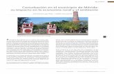 Conurbación en el municipio de Mérida: su impacto en la ...€¦ · meridana y que comienzan a avanzar sobre las ... bano no sólo ha transformado el medio ambiente en torno a la