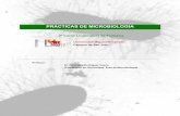 PRÁCTICAS DE MICROBIOLOGÍA - compositae · Trabajo en condiciones estériles y manipulación de microorganismos Medios de cultivo i. Distintos tipos de medios de cultivo. ii. Preparación