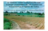 El vetiver como componente del manejo sostenible de … · manejo sostenible de los suelos en ecosistemas frágiles de Cuba Autores: ... Creación y atención de un banco de semillas