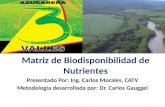 Matriz de Biodisponibilidad de Nutrientes · PPT file · Web view2010-07-17 · Que es el suelo? Sustrato. Suelo: Fuente de . nutrientes. Sustrato: como soporte y medio de absorción