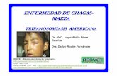 ENFERMEDAD DE CHAGAS- MAZZA - Veterinaria.org · Miocarditis Chagásica: la miocarditis en la enfermedad de Chagas se considera distinta porque las miofibrillas están parasitadas