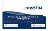 Proyecto de Microseguro Combinado “Vida Agrícola” · Proyecto de Microseguro Combinado “Vida Agrícola” Ganador del Fondo Mundial de Innovación en Microseguros, Ginebra