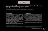 Aspectos técnicos de la adrenalectomía laparoscópica … · Rev Mex Urol 2009;69(5):231-234 Shuck-Bello CE et al. Aspectos técnicos de la adrenalectomía laparoscópica en un