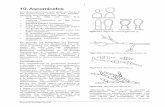 1 10. Ascomicetos - MICROBIOTA - Bibliografía sobre ... ascomicetos_0.pdf · 1 Manual de Micología General 10. Ascomicetos Los dicariomicetos, que abarcan tanto a los ascomicetos