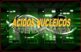 COMPONENENTES DE LOS NUCLEÓTIDOSiespoetaclaudio.centros.educa.jcyl.es/sitio/upload/acidos_nuclei... · MODELOS DE SUPERENROLLAMIENTO DEL ADN CIRCULAR Este empaquetamiento esta catalizado