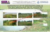 CONSTRUCCIÓN DE ESPIGONES PARA LA …sinat.semarnat.gob.mx/dgiraDocs/documentos/tab/estudios/2009/27TA... · comisiÓn nacional del agua direcciÓn local tabasco subgerencia de infraestructura