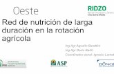 Red de nutrición de larga duración en la rotación agrícola · Consistencia: % de casos con respuesta. ... + 100 Kg UREA +150 kg UREA +150 kg UREA + 15 +220 kg UREA + 15 . Colaboran