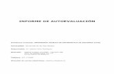 INFORME DE AUTOEVALUACIÓN - sequa.uib.catsequa.uib.cat/digitalAssets/108/108886_ITIS_1.pdf · Protocolo para la elaboración del Informe de Autoevaluación. 2 ... ejemplo Fundamentos