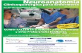 Neuroanatomía Clínicoquirúrgica para Enfermeríasanidadprivada.publicacionmedica.com/contenido/images/curso... · Instrumentación en cirugía cerebral: Taller de los princip ios