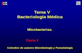 Tema V Bacteriología Médica - uvsfajardo.sld.cuuvsfajardo.sld.cu/sites/uvsfajardo.sld.cu/files/vi_micobacterias... · Enumerar las características generales de Mycobacterium tuberculosis,