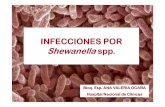INFECCIONES POR Shewanellaspp. · •Shewanella algae en un paciente con diarrea crónica: primer caso en Costa Rica. ... Cefalosporinas de 3 ra y 4 ta (la mayoría *), Quinolonas,