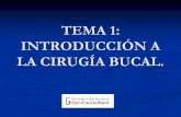 TEMA 1: INTRODUCCIÓN A LA CIRUGÍA BUCAL.ocw.uv.es/ciencias-de-la-salud/cirugia-bucal/34715mats01.pdf · - Gay-.Escoda C. Tratado de Cirugía Bucal. Tomo I. Madrid, Ediciones Ergón.