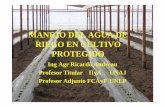 Andreau - Manejo del riego en cultivo protegido tomate … · El riego, como factor de consolidación del suelo, afectó más al tratamiento cincelado. 1as Jornadas nacionales de