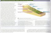 Bioma 05 - Basicobiologiauno's Blog · ... las grandes altitudes de las montañas ... cambio de estaciones en los biomas de altas latitudes. ... pradera de hierba alta se considera
