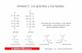 Unidad 2. Los glúcidos y los lípidos · Fórmulas de una cetosa y una aldosa (izquierda) y estereoisomería del gliceraldehído (abajo) Biología • 2.º de bachillerato ... Se