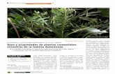 DISTRIBUCIÓN Y ALIMENTACIÓN - mapama.gob.es · tos, subarbustos y plantas her-báceas, con una amplia distri-bución mundial. Aunque un ... flora comestible del sureste español