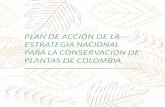 PLAN DE ACCIÓN DE LA ESTRATEGIA NACIONAL PARA LA CONSERVACIÓN DE ...€¦ · rramientas como el Catálogo de plantas y líquenes de Colombia y los primeros planes de acción y conservación