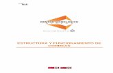 ESTRUCTURA Y FUNCIONAMIENTO DE CORREAS - … · Procedimientos de chequeo de estructura de las correas (condiciones pre-operativas).....20 4.2. Procedimientos de funcionamiento estándar