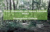 Foro: Desarrollo del Sector Forestal PERU Experiencia … · • Factores de Desarrollo. ... Aún hay tierras de Aptitud Forestal, degradándose, que deben ser forestadas 14 superficie