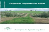 CUBIERTAS VEGETALES EN OLIVAR - … · por la cobertura vegetal.....115 la cubiertavegetal en el olivar como protectora del suelo frente a los agentes erosivos ... cubiertas inertes: