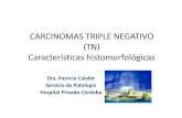 CARCINOMAS TRIPLE NEGATIVO (TN) …mariecurie.com.ar/eventos/conferencias 3 de julio/Conferencias... · Por medio de la realización del testeo de la sobre-expresión de HER2 y de